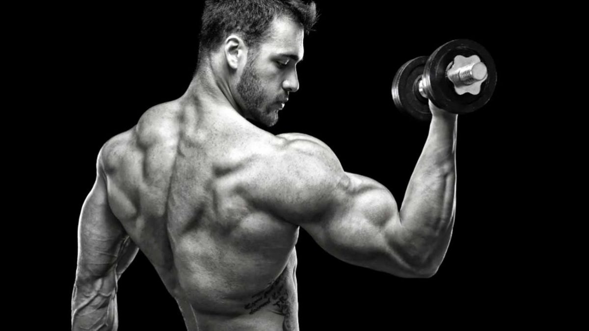 بدنسازی اصولی